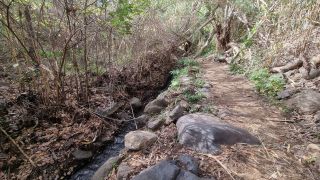 2024-01-GranCan-Barranco_de_los_Cernicalos-038.jpg